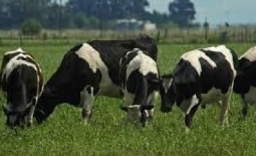 GRUPOS TAMBEROS DE CAMBIO RURAL II SE REUNIERON EN LA PORTEÑA