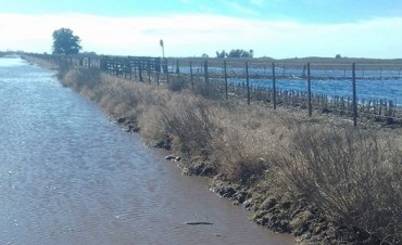 LA SOCIEDAD RURAL RECLAMARA LA DECLARACION DE EMERGENCIA AGROPECUARIA