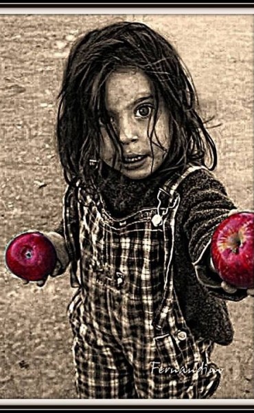 MIGUEL FERNANDINO FUE EL GANADOR DEL CONCURSO 