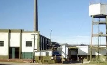 HACE CUATRO MESES QUE REABRIO EL FRIGORIFICO ¿COMO FUNCIONA LA PLANTA?