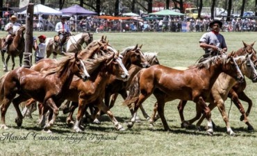 LA TROPILLA DE DIEGO FORD GANO EN JESUS MARIA