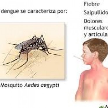 REALIZAN CAMPAÑA DE PREVENCION DEL DENGUE