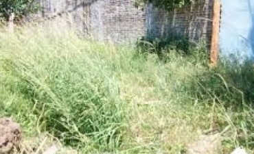 LA MUNICIPALIDAD RECUERDA QUE LA LIMPIEZA Y MANTENIMIENTO DE TERRENOS Y VEREDAS ES RESPONSABILIDAD DE LOS FRENTISTAS