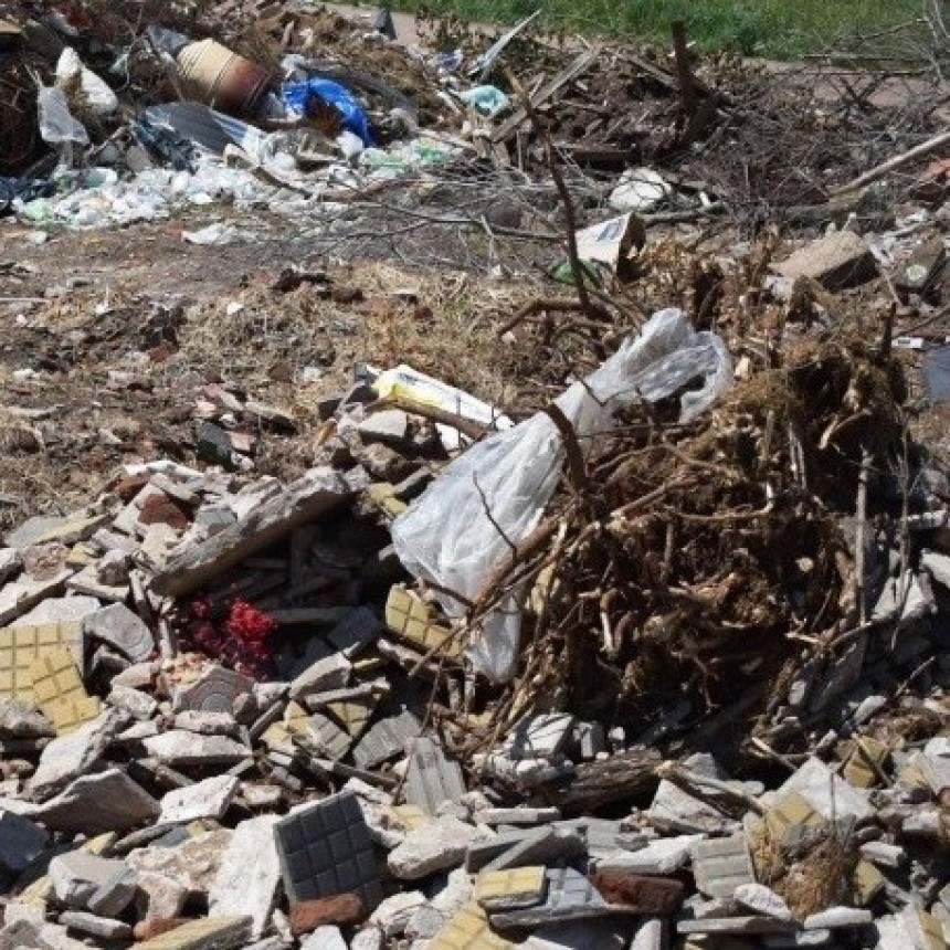 EL RADICALISMO PIDIO ACCIONES CONCRETAS POR LAS RATAS Y EL ESTADO DEL BASURERO