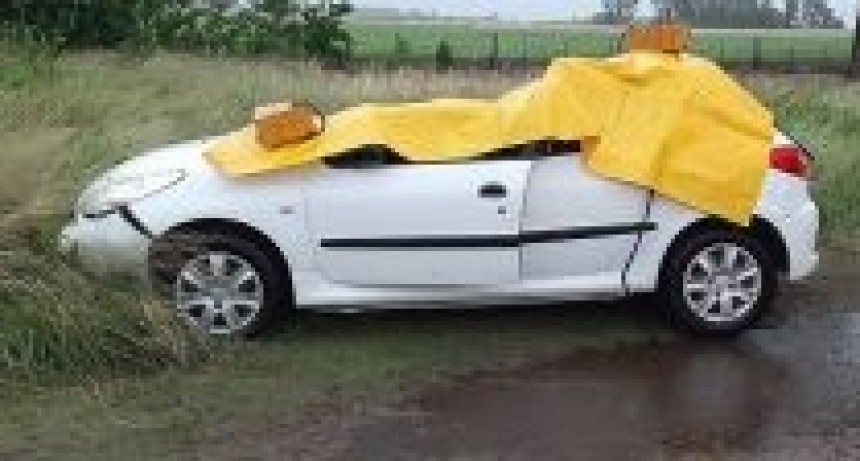 TRAGEDIA SIN CONSUELO: MURIÓ UNA NENA DE 12 AÑOS CUANDO UNA RÁFAGA DE VIENTO ARRANCÓ UNA PLANTA Y CAYÓ SOBRE EL AUTO DONDE VIAJABA CON SU FAMILIA