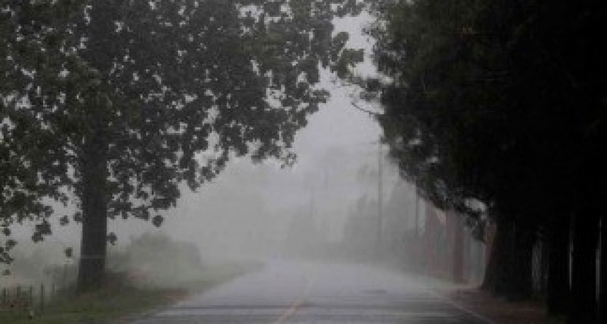 POR PROBLEMAS EN UNA LÍNEA DE ALUMBRADO, EL SERVICIO EN UN SECTOR DE LA 27 DE OCTUBRE PODRÍA VERSE AFECTADO