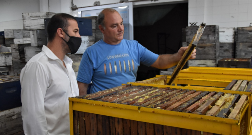 ACOMPAÑAMIENTO A LA COOPERATIVA DE APICULTORES LOCALES