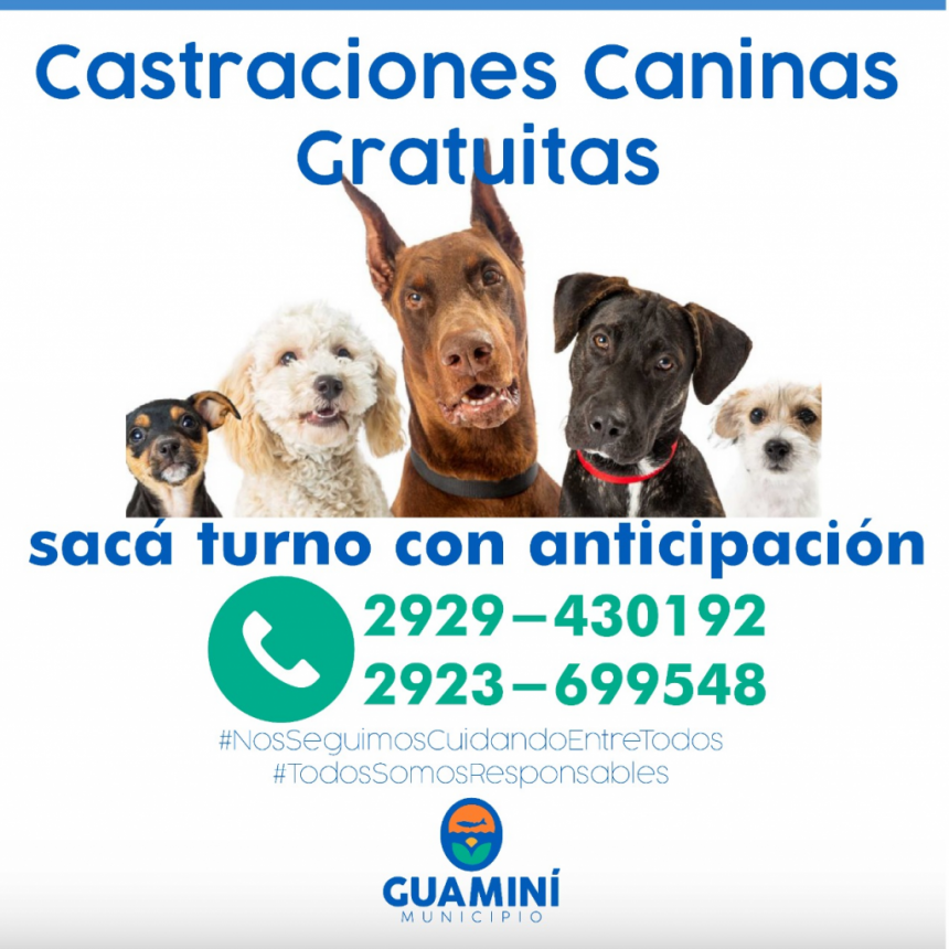 CASTRACIONES CANINAS GRATUITAS EN CASBAS Y GUAMINÍ