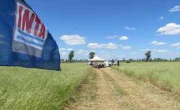 ORGANIZAN JORNADA DE CULTIVOS DE COBERTURA