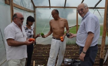 NUEVOS TRABAJOS EN EL VIVERO Y EN EL INVERNACULO