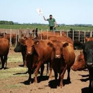 CREA OESTE ARENOSO Y LA SOCIEDAD RURAL ORGANIZAN UNA CAPACITACION SOBRE BIENESTAR ANIMAL