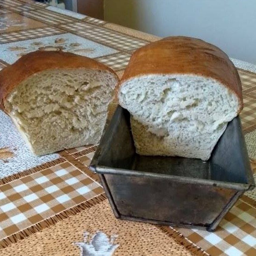 COMIENZAN LAS MUESTRAS DE CIERRE DE LOS CURSOS INTENSIVOS DE VERANO