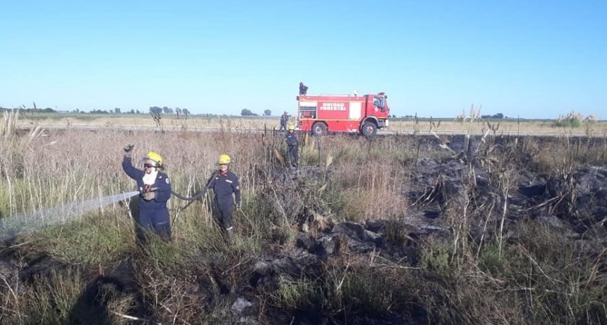 PRINCIPIO DE INCENDIO EN UNA COSECHADORA. ACTUARON LOS BOMBEROS.