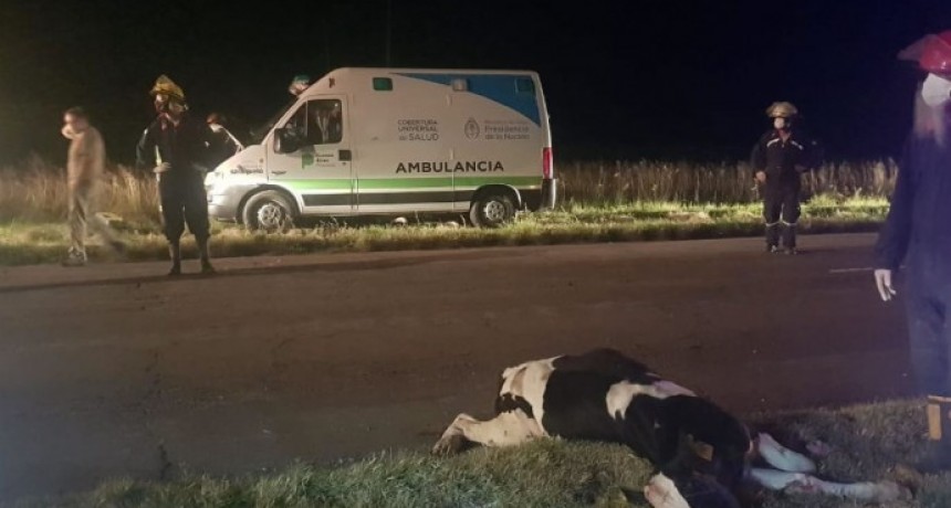 CHOCÓ LA AMBULANCIA DE SALLIQUELÓ EN RUTA 85