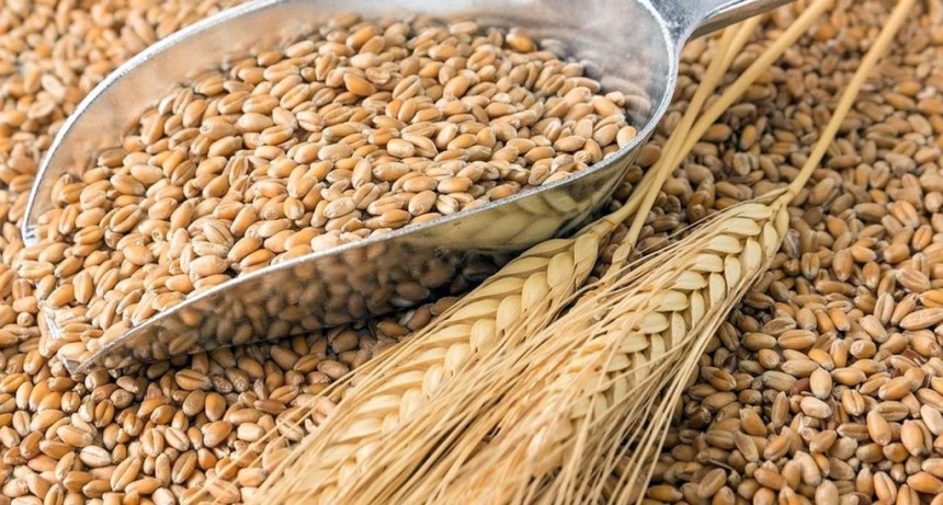 EL MINISTERIO DE DESARROLLO AGRARIO CONCRETÓ LA PRIMERA RONDA DE NEGOCIOS DE TRIGO CON MÉXICO