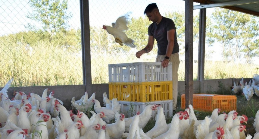 LA UNIDAD PRODUCTIVA AVÍCOLA ESTÁ EN MARCHA