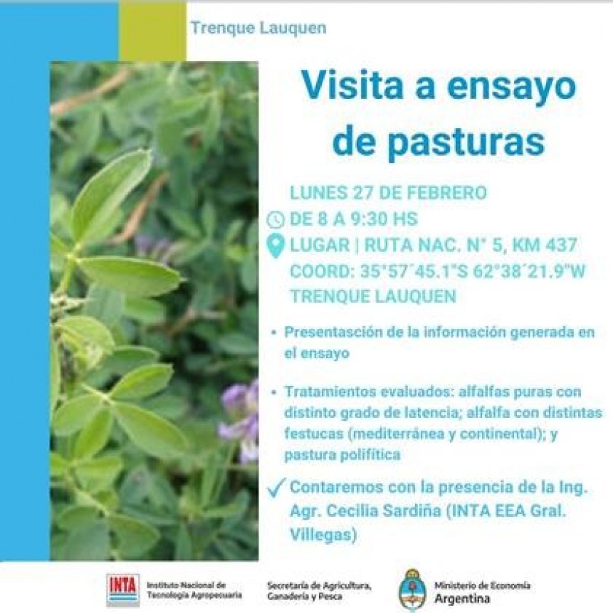 INTA: SE REALIZARA UNA VISITA A ENSAYO DE PASTURAS EN TRENQUE LAUQUEN.