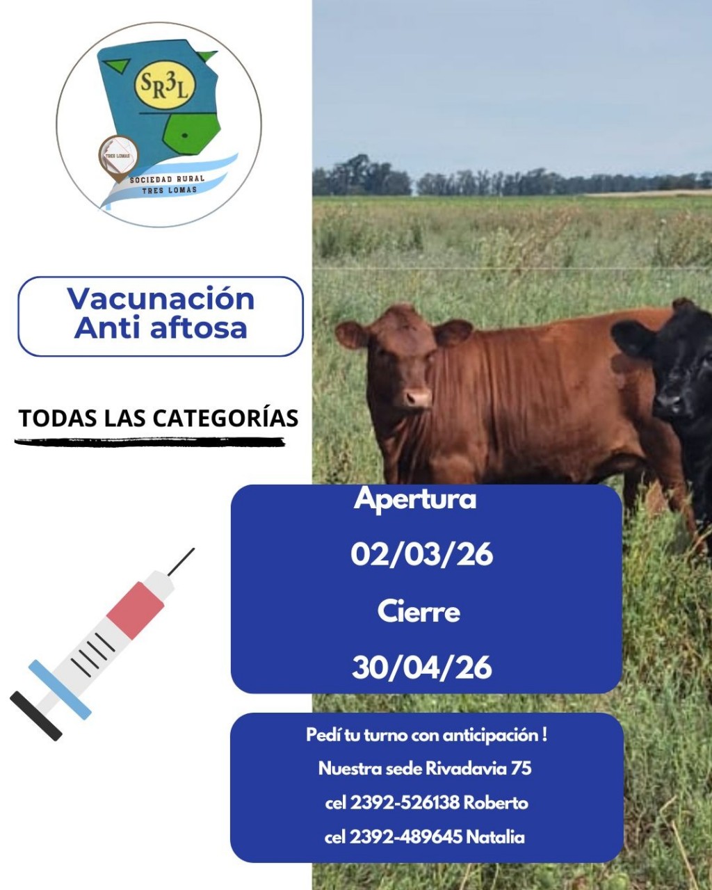 Comienza la campaña de vacunación anti aftosa en Tres Lomas 