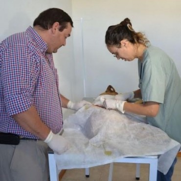 COMENZO A FUNCIONAR EL PROGRAMA 