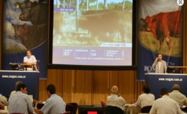 Expo 2014 - DIEGO SAN JUAN, REPRESENTANTE DE 'CONSIGNAR' SE REFIRIO AL PRIMER REMATE GANADERO POR PANTALLA 