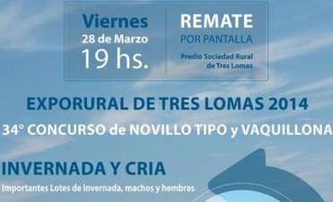 EXPO 2014 - EL TITULAR DE LA FIRMA 'CONSIGNAR' DESTACÓ LOS BENEFICIOS DEL REMATE POR PANTALLA