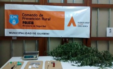 INCAUTAN PLANTAS DE MARIHUANA Y DETIENEN A DOS PERSONAS
