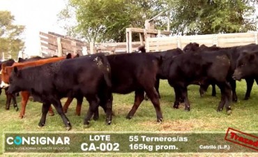 DIEGO SAN JUAN HABLO DEL REMATE POR PANTALLA QUE SE REALIZARA EN LA RURAL