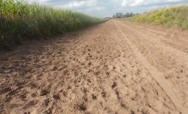 LA MUNICIPALIDAD DENUNCIO ARREO DE HACIENDA SOBRE CAMINOS RURALES RECIEN REPARADOS