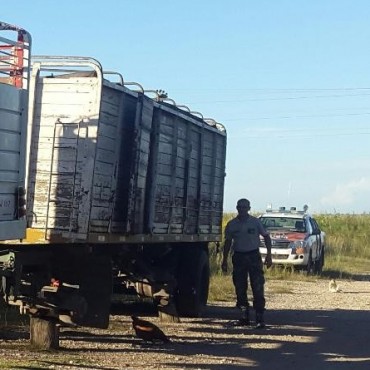 RECUPERAN EN RIVERA UN ACOPLADO ROBADO EN DAIREAUX
