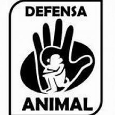 AUTORIDADES MUNICIPALES SE REUNIERON CON ASOCIACIONES QUE DEFIENDEN LOS DERECHOS DE LOS ANIMALES