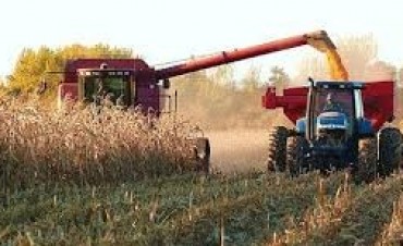 SE DICTA EN TRENQUE LAUQUEN LA CARRERA DE PRODUCCION AGRICOLA GANADERA