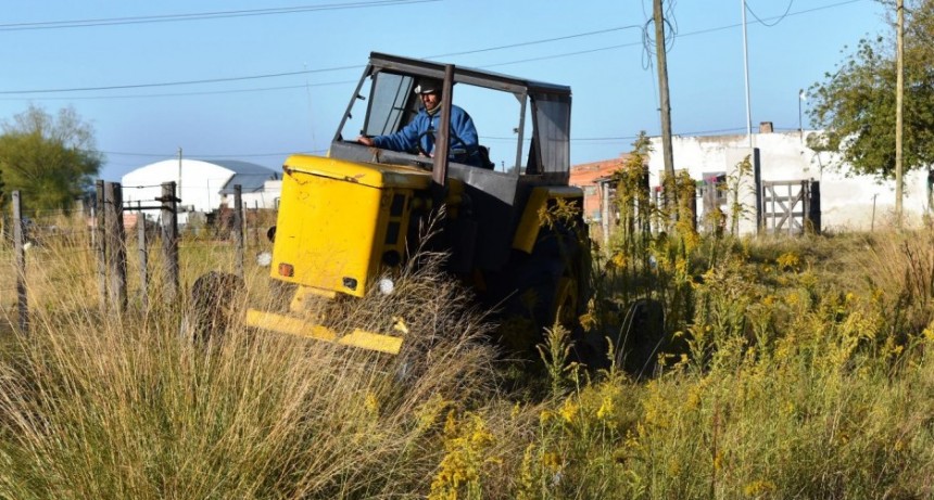 TAREAS DE LIMPIEZA EN EL BARRIO LA TRANQUILIDAD