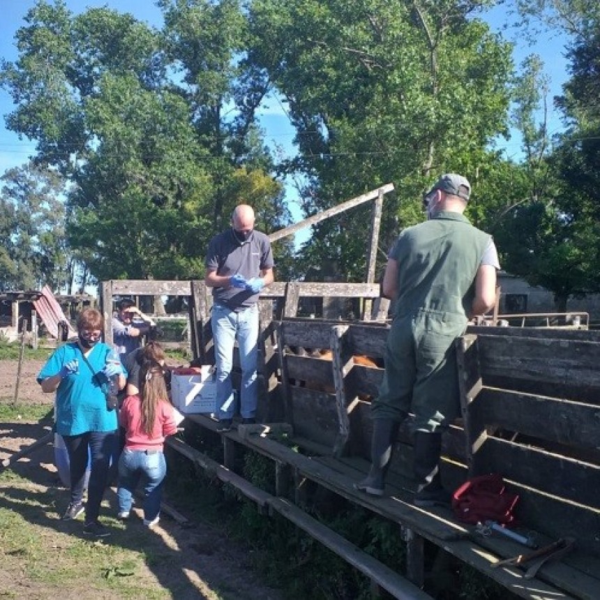 SENASA: LA IMPORTANCIA DE REGISTRAR LA PRODUCCIÓN DE LA AGRICULTURA FAMILIAR