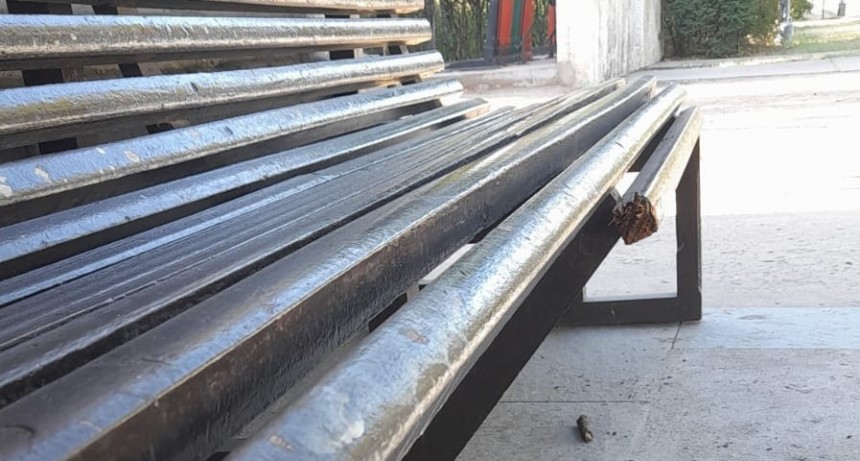 VANDALISMO EN LOS BANCOS DEL ANDÉN DE “LA ESTACIÓN”