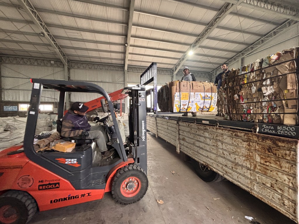 CURSO DE MANIPULACI&Oacute;N DE ALIMENTOS