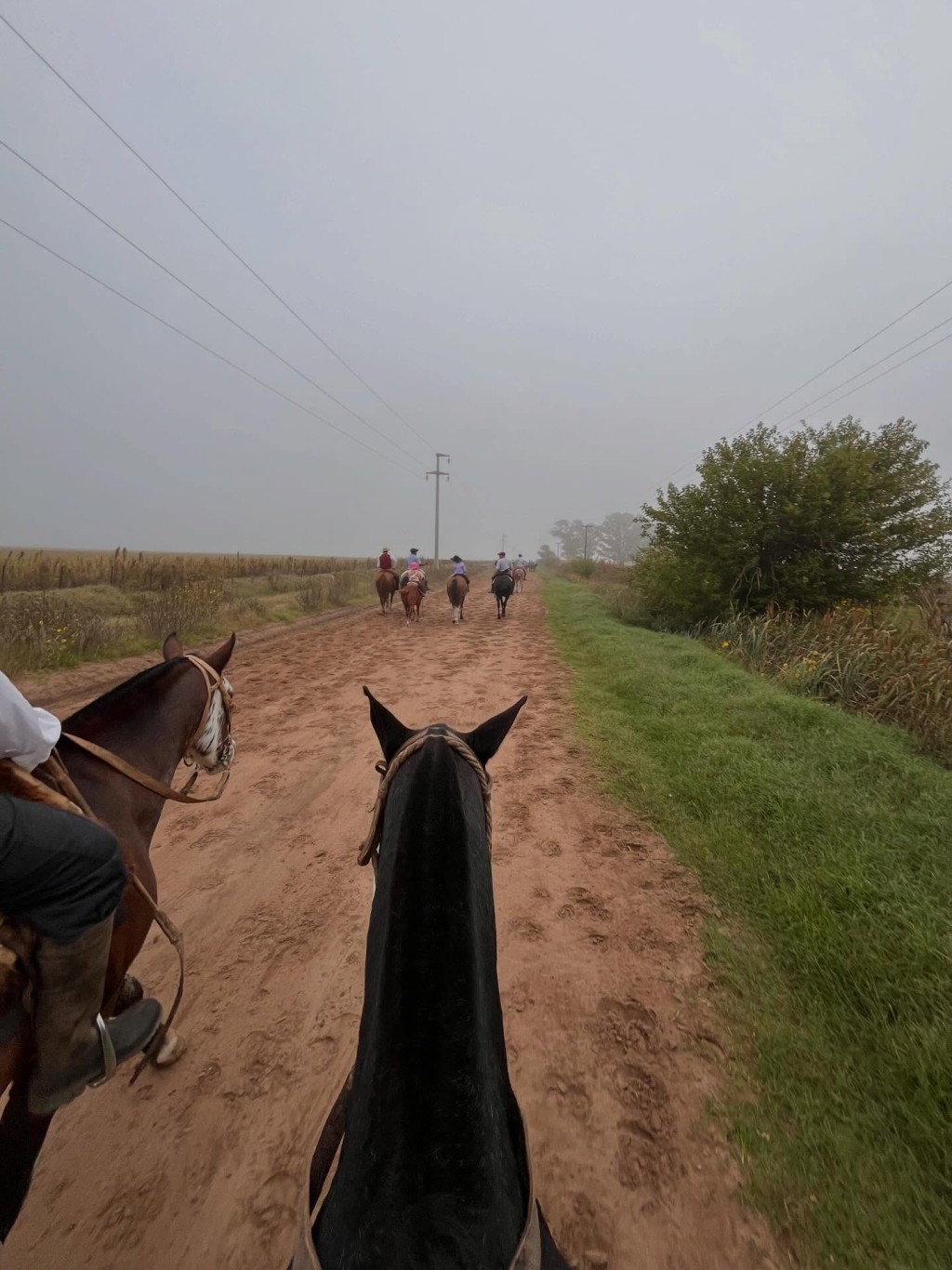 Se realiz&oacute; con &eacute;xito la segunda cabalgata a la Escuela N&deg; 9 de La Adela