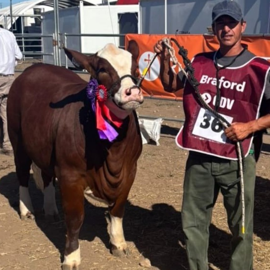  La Caba&ntilde;a Braford de la familia D&iacute;az obtuvo importantes premios en Expoagro