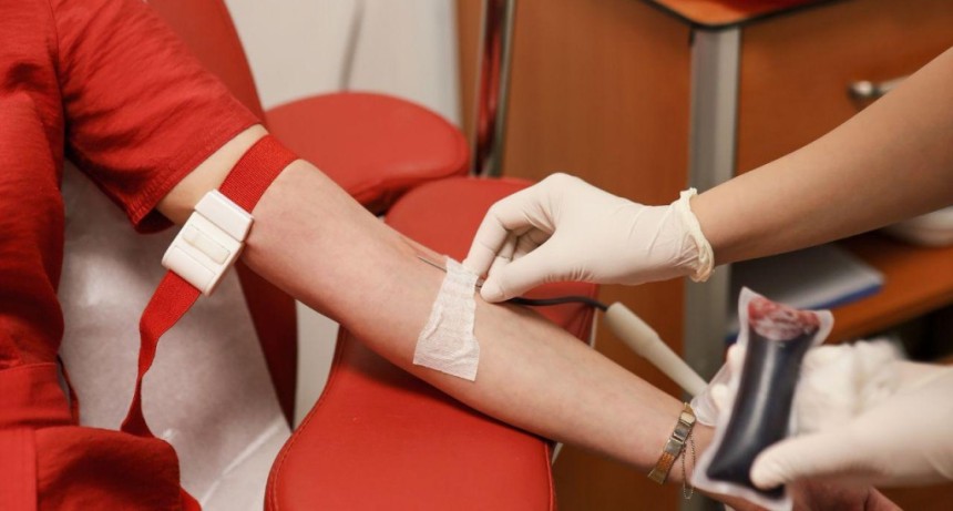 Nueva colecta de sangre y registro de donantes de m&eacute;dula &oacute;sea