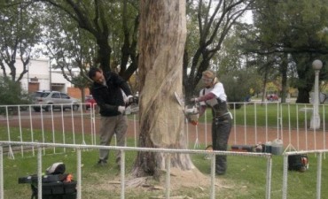 “QUISIMOS DEJARLO EN PIE, Y HACER ARTE”