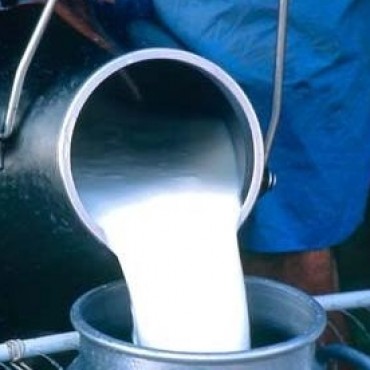 ANALIZARAN EN LA PORTEÑA LA SITUACION ACTUAL DEL SECTOR LECHERO