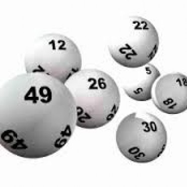 NUEVO SORTEO DE LA JARDINERA DEL JARDIN 903