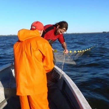 SE REALIZAN ESTUDIOS ICTIOLÓGICOS EN LAS LAGUNAS DEL DISTRITO