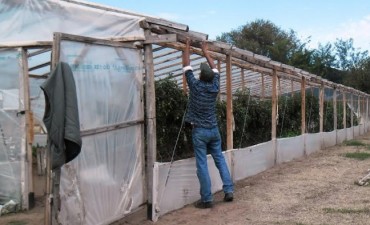 REPONEN COBERTURA DAÑADA EN EL VIVERO MUNICIPAL
