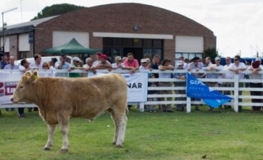 EXPO RURAL - EL MEJOR NOVILLO ES DE SUC. DE LUIS BELTRAME