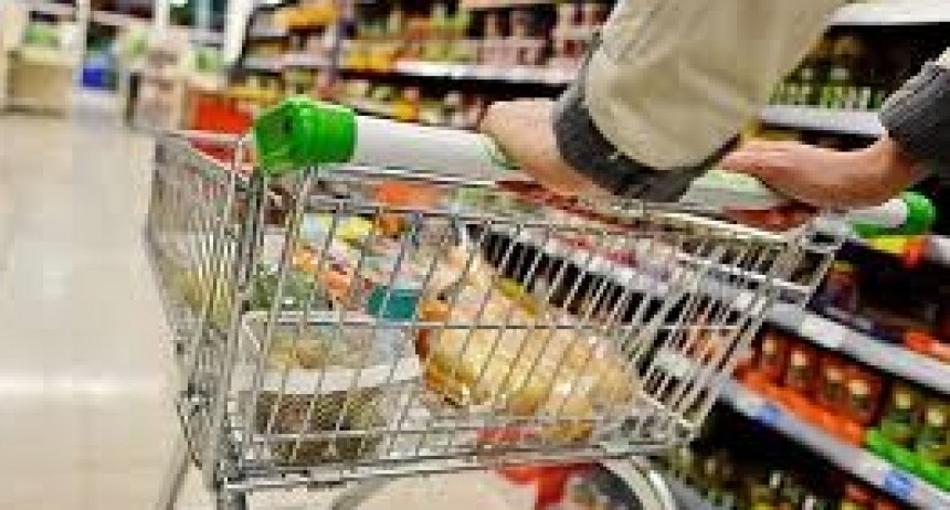 PONEN EN MARCHA EL PROYECTO 