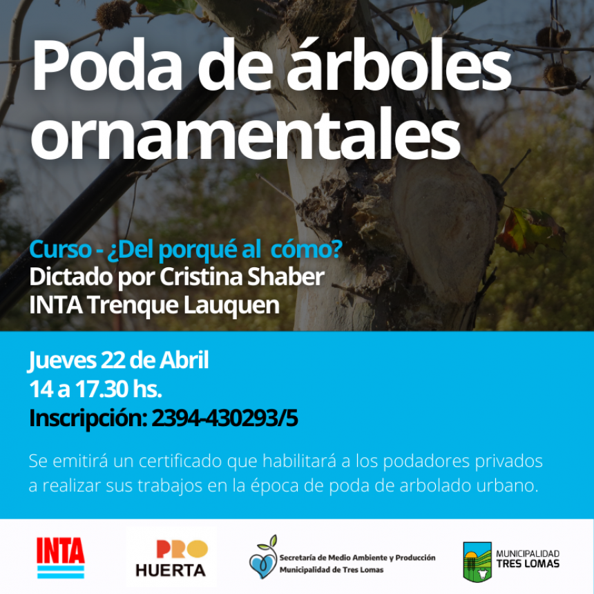 CURSO DE PODA DE ÁRBOLES ORNAMENTALES