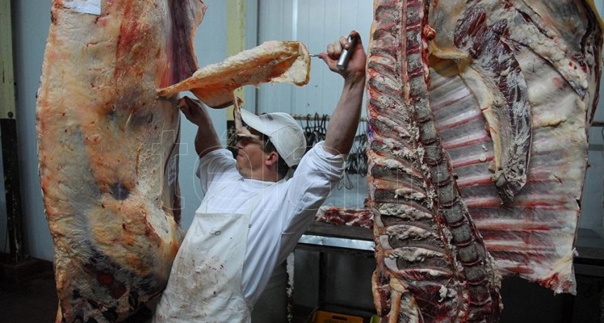 CHAU A LA MEDIA RES: CAMBIA EL TROCEO PARA LA COMERCIALIZACIÓN DE LA CARNE