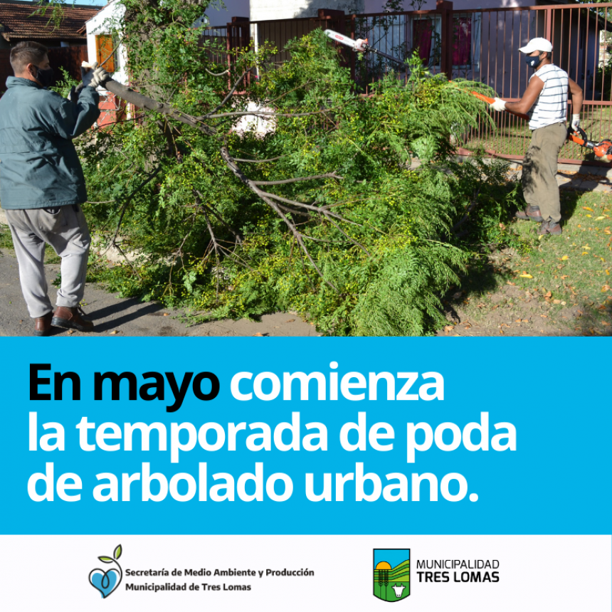 EN MAYO COMIENZA LA TEMPORADA DE PODA DE ARBOLADO URBANO