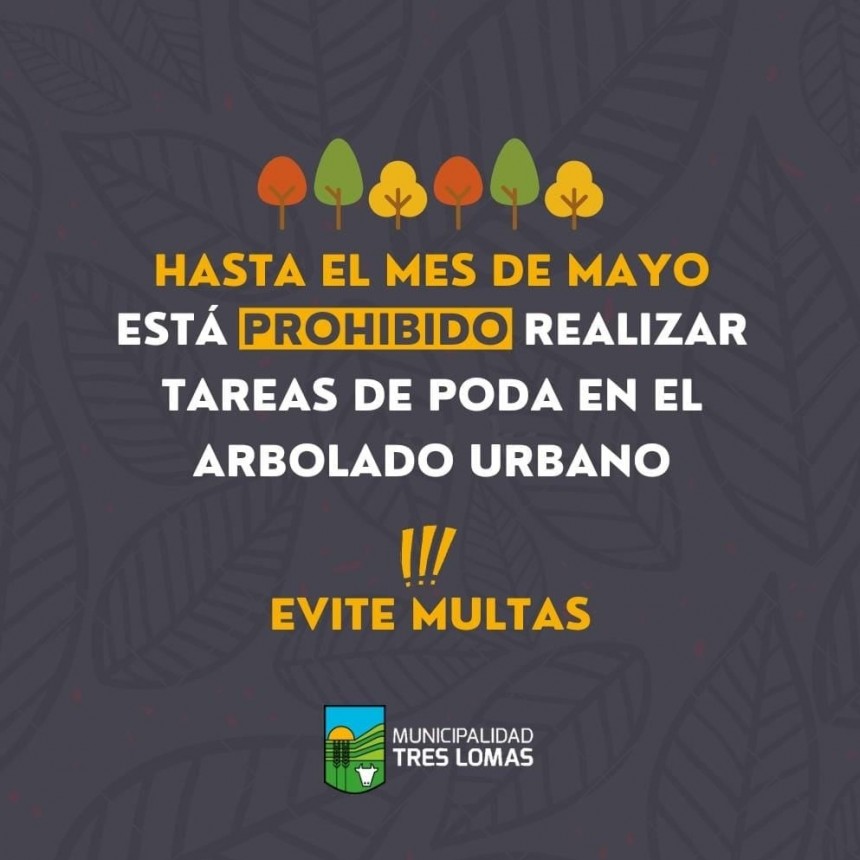 ESTÁ PROHIBIDO REALIZAR TAREAS DE PODA EN EL ARBOLADO URBANO HASTA EL MES DE MAYO