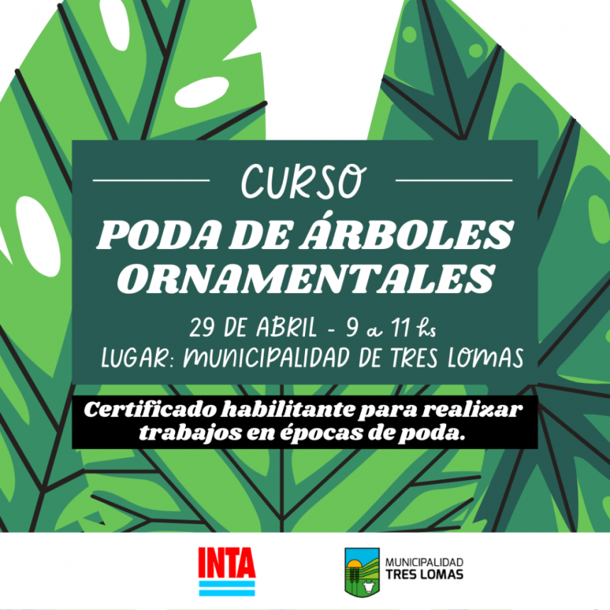 CURSO DE PODA DE ÁRBOLES ORNAMENTALES